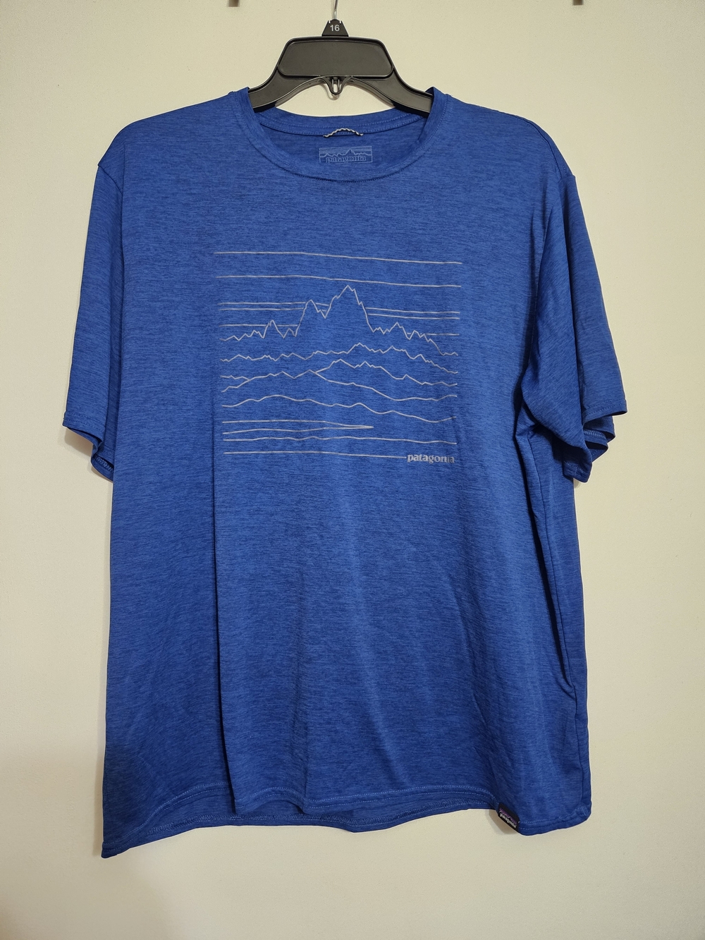 Patagonia Blue Short Sleeve Graphic Crew Tee